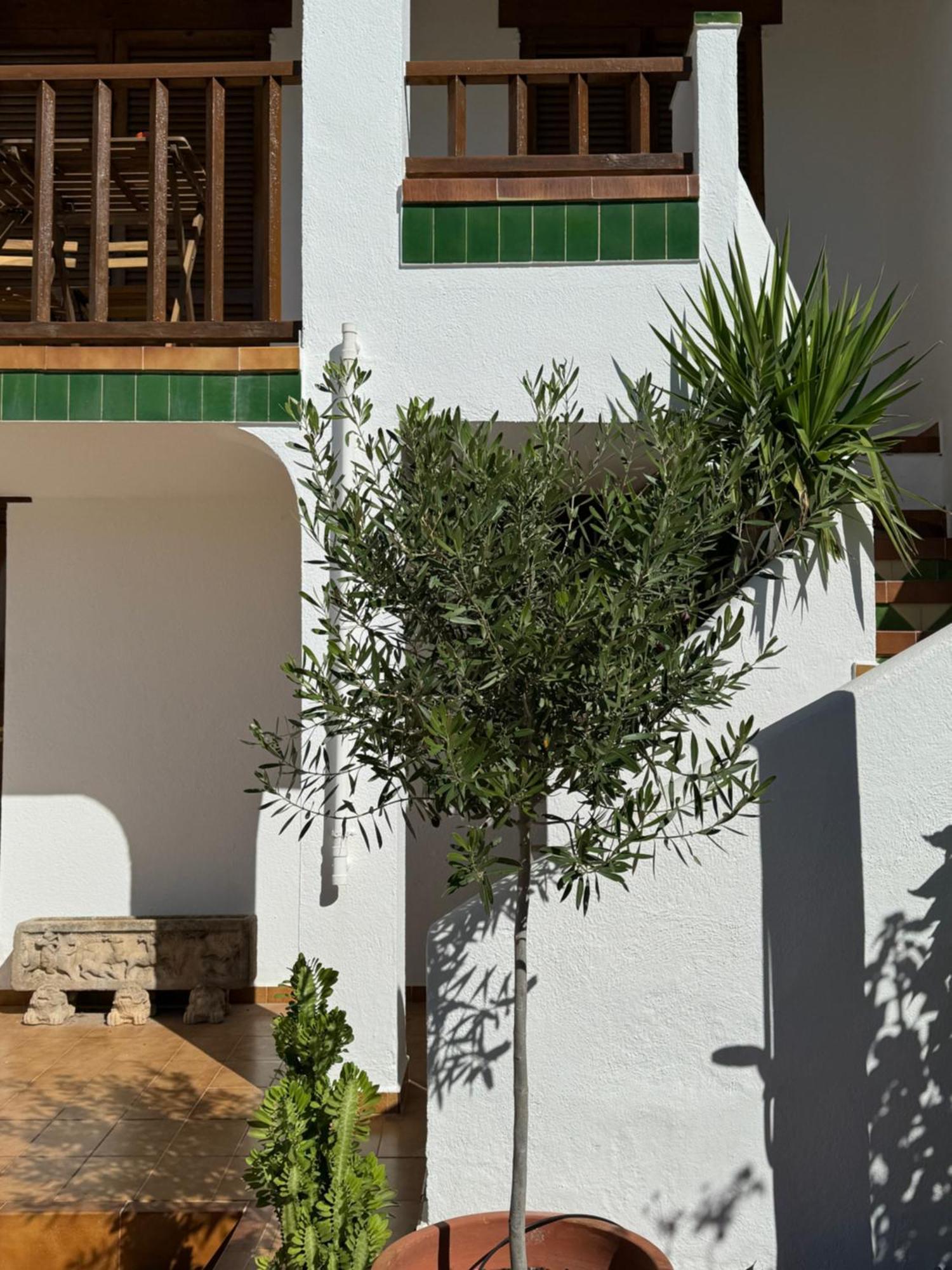 Espectacular Sunny House In The Beach 커닛 외부 사진